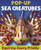 Sea Creatures Pop-up: Squirmy, Scary Fish Face-to-Face Sea Creatures Pop-up: Squirmy, Scary Fish Face-to-Face