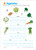 Cursive Writing Grades 3-4