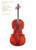 The Countess of Stanlein Restored: A History of the Countess of Stanlein Ex Paganini Stradivarius Cello of 1707