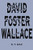 Every Love Story is a Ghost Story: A Life of David Foster Wallace