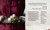 Indochine: Baguettes and Bnh M