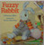 Fuzzy Rabbit