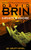 Infinity's Shore (The Second Uplift Trilogy #2)