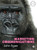 Marketing Communications