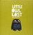 Little Owl Lost