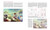 Geometry of Design, Revised and Updated (Design Briefs)