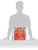 Silk and Cotton: Textiles from the Central Asia that Was
