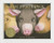 The Three Pigs