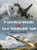 F-105 Wild Weasel vs SA-2 Guideline SAM: Vietnam 196573 (Duel)