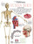 Human Body (DK Eyewitness Books)
