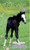 Friendly Foal (Winnie the Horse Gentler #7)
