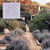 California Gardens: Creating a New Eden