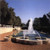 California Gardens: Creating a New Eden
