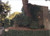 California Gardens: Creating a New Eden