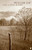 The Long Home