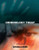 Criminology Today: An Integrative Introduction (5th Edition)