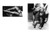 Elmer Batters: Legs That Dance to Elmer's Tune (Photobook) (Photo & Sexy Books)