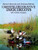 Carving Decorative Duck Decoys: With Full-Size Templates