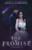 The Promise: Fallen Star Series (Volume 4)
