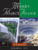 Modern Project Finance: A Casebook