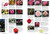 Complete Guide to Roses