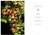 The Blue Chair Jam Cookbook