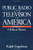 Public Radio and Television in America: A Political History