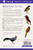 A Field Guide to the Birds of South-East Asia