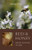 Bees and Honey: From Flower to Jar