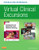 Virtual Clinical Excursions Online and Print Workbook for Introduction to Maternity and Pediatric Nursing, 7e Virtual Clinical Excursions Online and Print Workbook for Introduction to Maternity and Pediatric Nursing, 7e