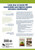 Implementing Response to Intervention: A Principals Guide