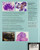 Thyroid Fine Needle Aspiration with CD Extra