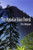 The Appalachian Forest, A Search For Roots and Renewal