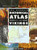 The Penguin Historical Atlas of the Vikings (Hist Atlas) The Penguin Historical Atlas of the Vikings (Hist Atlas)
