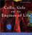 Cells, Gels and the Engines of Life