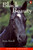Black Beauty (Penguin Readers, Level 2) Black Beauty (Penguin Readers, Level 2)