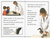 Animal Hospital (DK Readers Level 2) Animal Hospital (DK Readers Level 2)