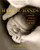 Heart and Hands: A Midwife's Guide to Pregnancy and Birth