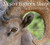 Desert Bighorn Sheep: Wilderness Icon