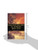 War and Society in Europe 1870-1970 (War and European Society Series)