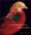 Extraordinary Pheasants