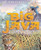 Big Java