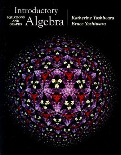 Introductory Algebra: Equations and Graphs (with CD-ROM, BCA/iLrn Tutorial, and InfoTrac) (Available Titles CengageNOW)