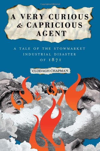 A Very Curious and Capricious Agent