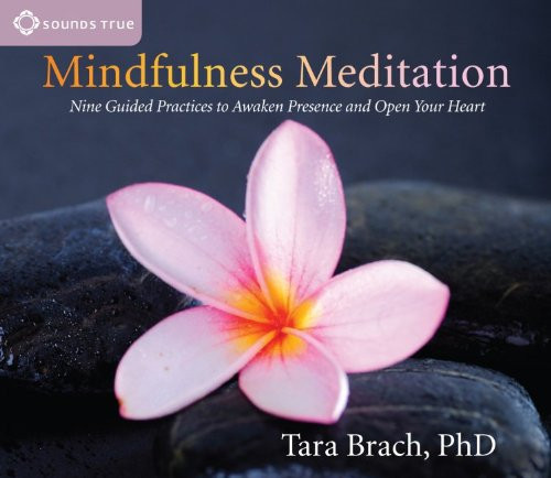 Mindfulness Meditation: Nine Guided Practices to Awaken Presence and Open Your Heart