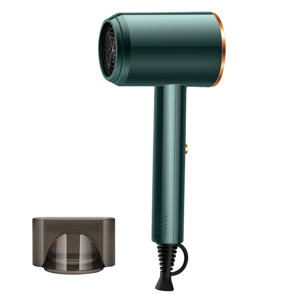 800W Electric Hair Dryer Hair Styling Tool Portable Hairdryers Heat and Speed Settings Blow Dryer