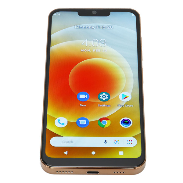 6.1 Inch HD 4G Unlocked Smartphone 5G WiFi Face Recognition 4GB RAM 64GB ROM Mobile Phone for Android 12