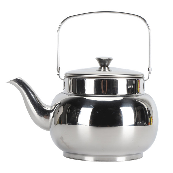 Stainless Steel Teapot with Removable Filter Metal Tea Kettle Coffee Table Serving Pot for Home Hotel Restaurant 1L