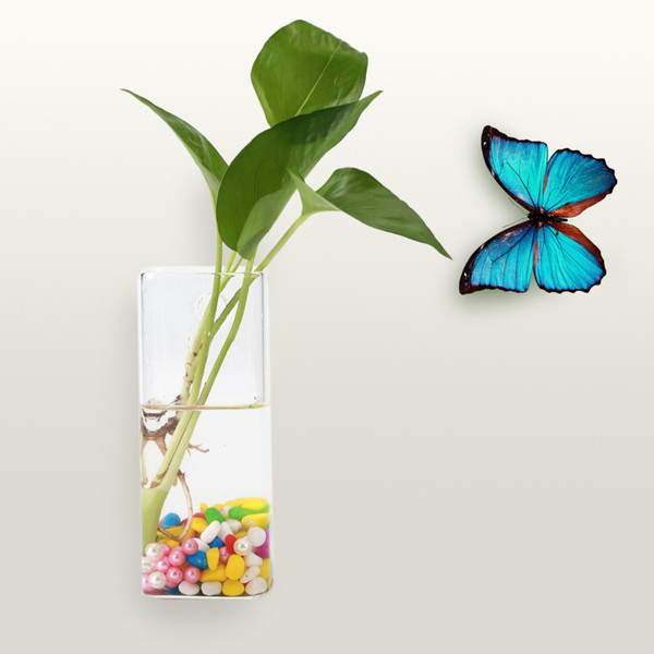 Hanging Plants Flowers Glass Vase Wall Hydroponic Aquarium Container Home Decor #5