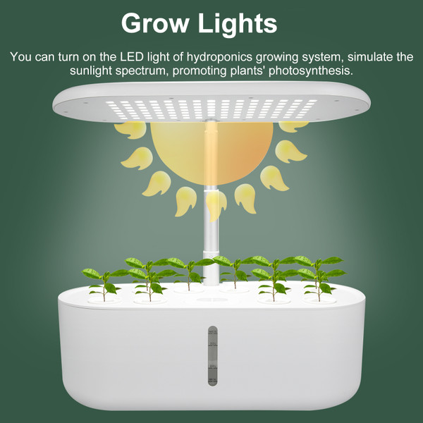 10 Pods Hydroponic Growing System Indoor Garden with LED Plant Grow Light Pump System Seed Pod Kit Grow Sponges Grow Baskets AB Nutrient Solution